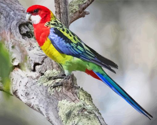Rainbow Eastern Rosella On Branch paint by numbers