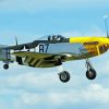 Flying P52 Mustang Airplane paint by numbers