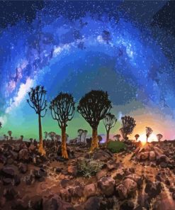 Galaxy Sky Namibia paint by numbers