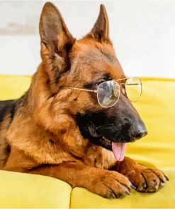 German Shepherds With Glasses paint by numbers