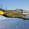 Green P52 Mustang paint by numbers
