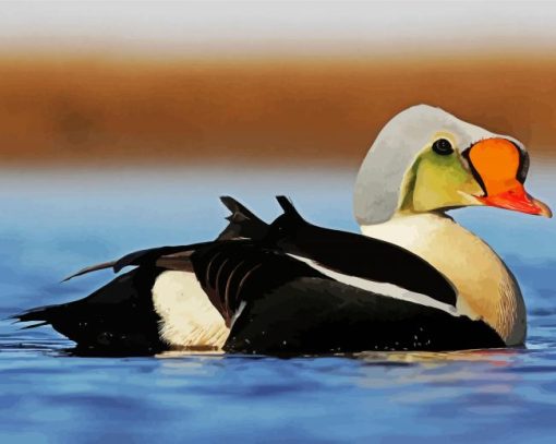 King Eider paint by numbers