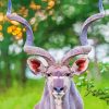 Wonderful Kudu Animal paint by numbers
