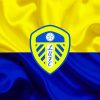 Leeds United Football Club Paint by numbers