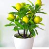 Lemon Tree Plant paint by numbers