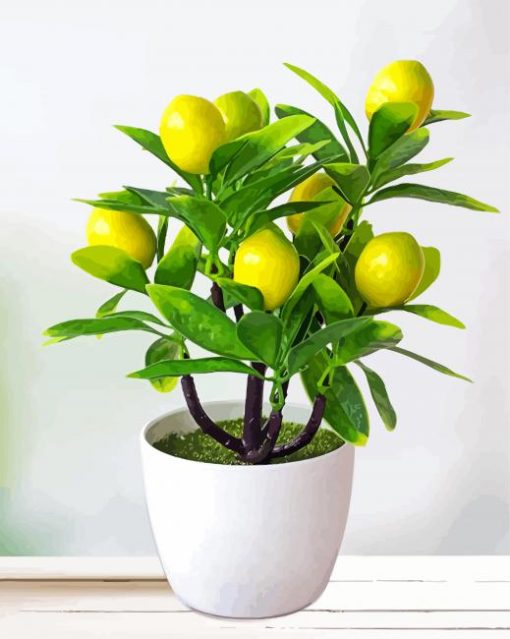Lemon Tree Plant paint by numbers