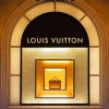 Louis Vuitton Stone paint by numbers