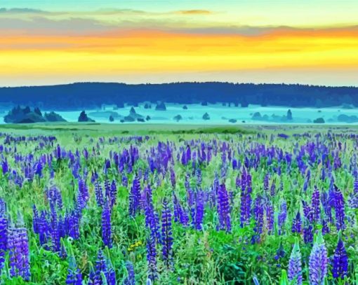 Lupines Field Nature paint by numbers