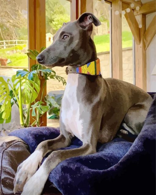 Adorable Lurcher On Sofa paint by numbers
