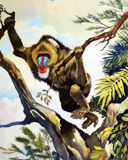 Mandrill In Jungle paint by numbers