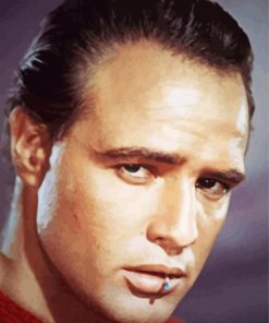 Young Marlon Brando paint by numbers