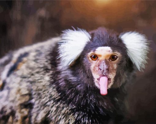 Funny Marmoset Animal paint by numbers