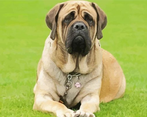 Adorable English Mastiff Dog paint by numbers