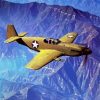Military P52 Mustang paint by numbers