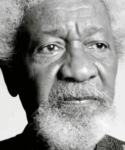 Black And White Wole Soyinka paint by numbers