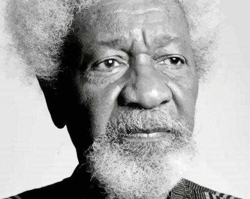 Black And White Wole Soyinka paint by numbers
