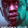 Moonlight Movie Poster paint by numbers