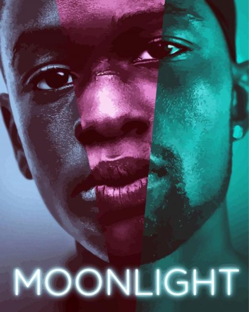 Moonlight Movie Poster paint by numbers
