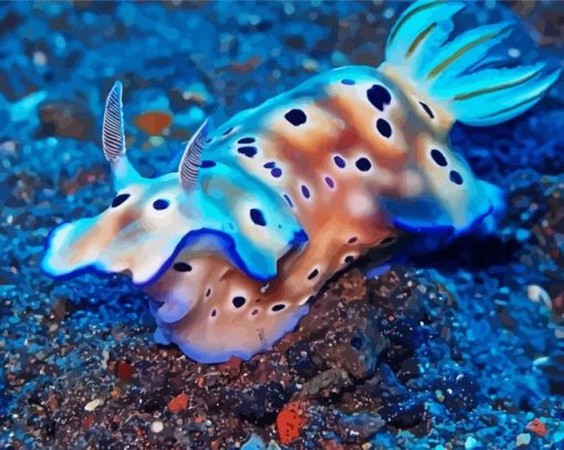 Nudibranch Animal paint by numbers