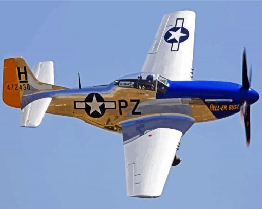 P52 Mustang airplane paint by numbers