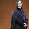 The Professor Severus Snape paint by numbers