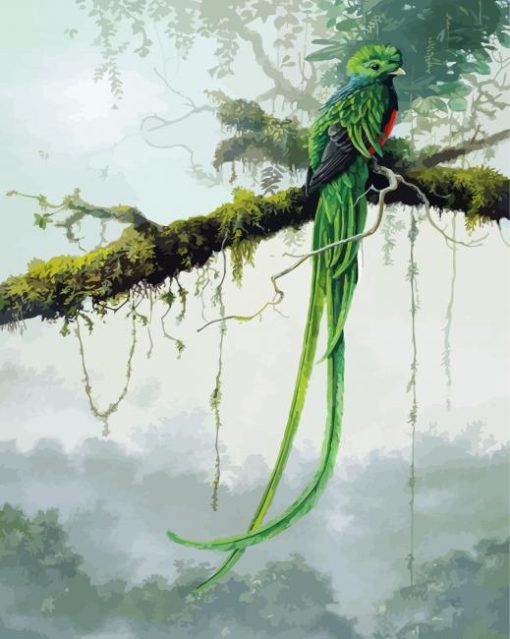Resplendent Quetzal Bird Art paint by numbers