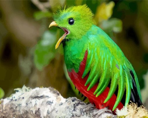 Resplendent Quetzal Chirping paint by numbers