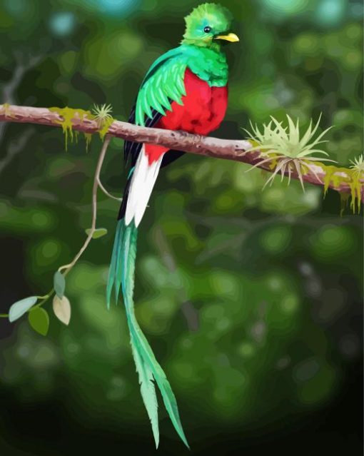 Quetzal Bird On A Branch paint by numbers