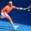 The Spanish Rafael Nadal paint by numbers