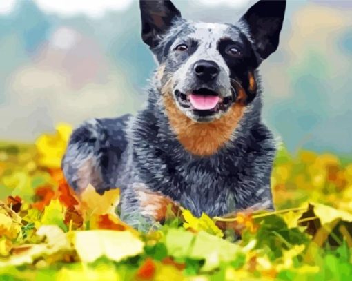 Adorable Red Heeler Dog paint by numbers