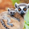Ring Tailed Lemur paint by numbers