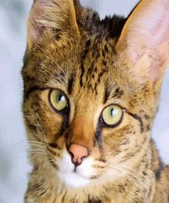 Savannah Face Cat paint by numbers