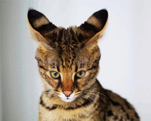Adorable Savannah Cat paint by numbers