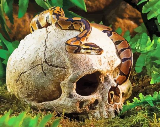 Snake On Jungle Skull paint by numbers