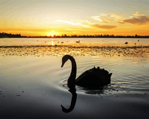 Swan Bird Silhouette paint by numbers