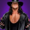 The Undertaker With Hat paint by numbers