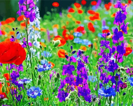 Wild Flowers Meadow paint by numbers