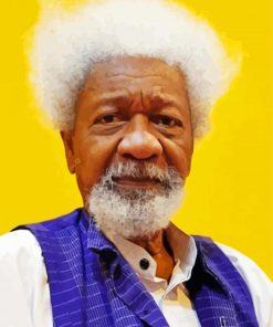 Wole Soyinka paint by numbers
