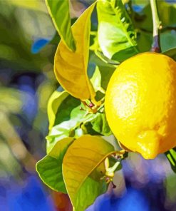 Yellow Lemon Tree paint by numbers