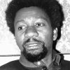 Young Wole Soyinka paint by numbers