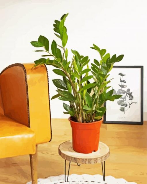 Zamioculcas Plant In Pot paint by numbers
