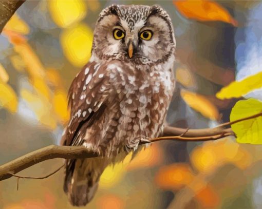 Zimbabwean Owl paint by numbers