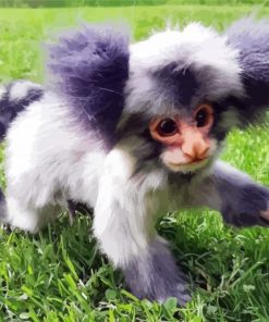 Aesthetic Marmoset Animal paint by numbers