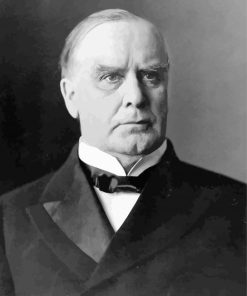 William McKinley President paint by numbers