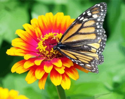 Beautiful Butterfly On Marigold main by numbers