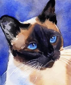 Illustration Siamese Cat paint by numbers