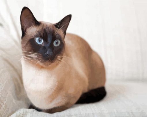 Wonderful Siamese Cat paint by numbers