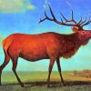 Albert Bierstadt Elk paint by numbers