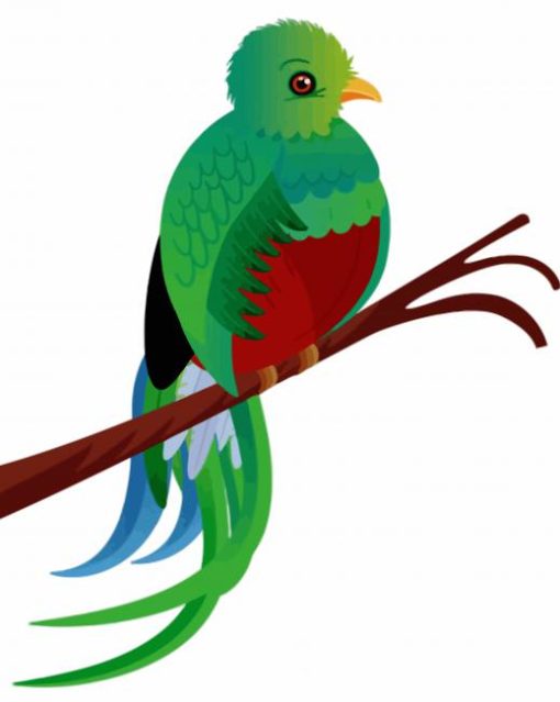 Aesthetic Quetzal Bird Art paint by numbers