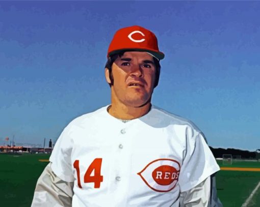 baseball player Pete rose paint by number